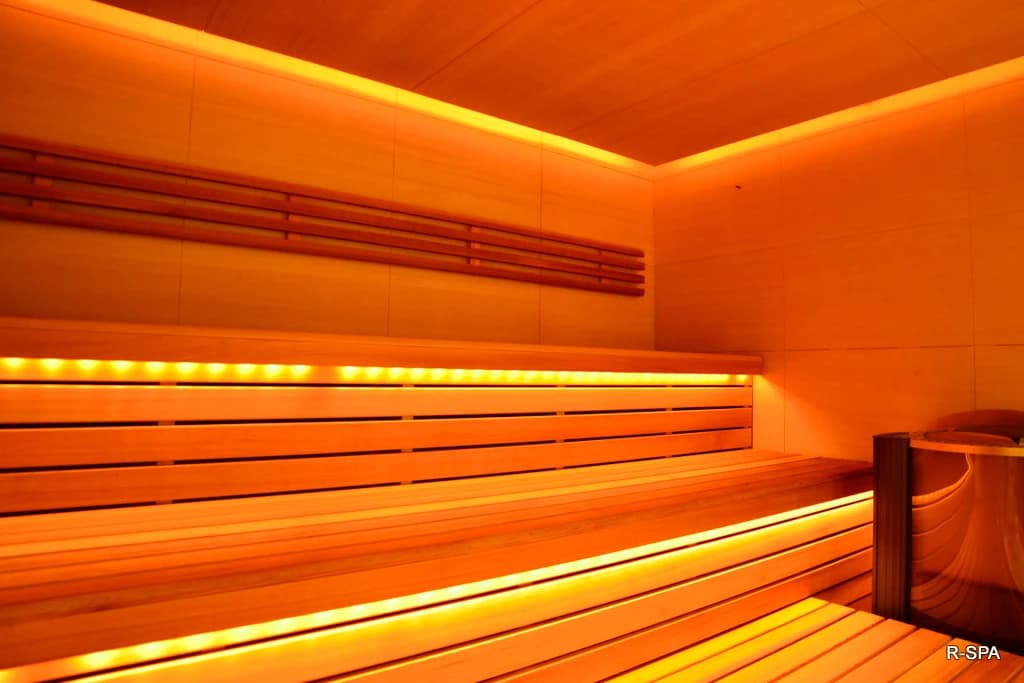 Сауна с подсветкой и панелями RoHol